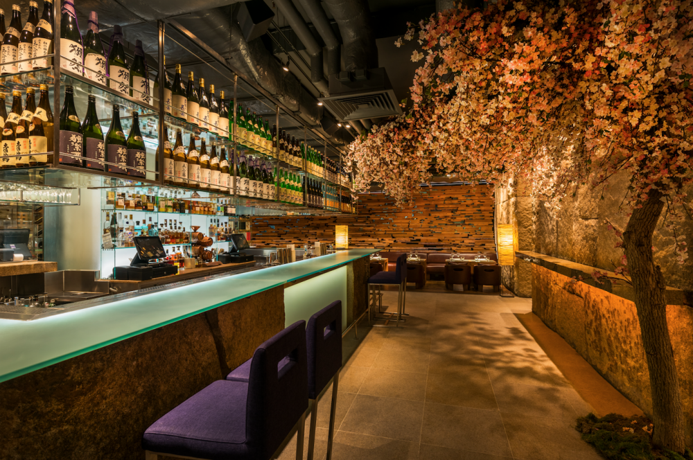 Cherry blossom blooms in London’s top Japanese restaurants
